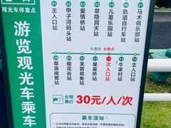 -合肥滨湖国家森林公园
