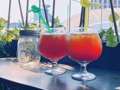 -柴犬高等学院·狗咖·柴犬售卖·宠物训练