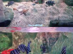 -沈阳海洋探索中心