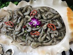 -格瑞欧海鲜自助烤肉火锅(光彩店)