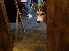 -飘香酒馆·私房菜