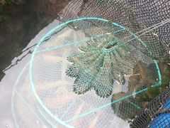 -海上驿站渔家菜馆