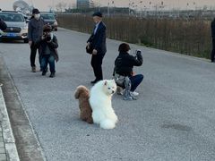 -南汇嘴观海公园