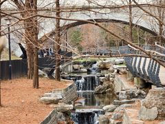 -白水寺森林公园