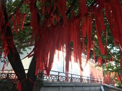 -西安青龙寺遗址景区