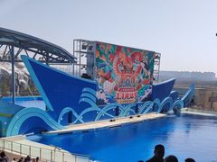 -上海海昌海洋公园
