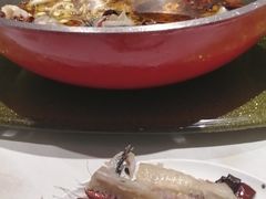 -大鸭梨烤鸭(顺义石园店)