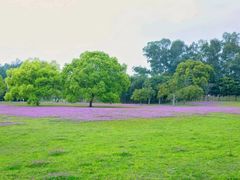 -福建鲤鱼洲酒店