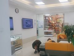 -北京观赏动物医院·24小时大型综合·猫专科·异宠专科