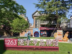 -华山263老字号品牌馆