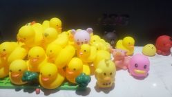 -wow舞蹈培训
