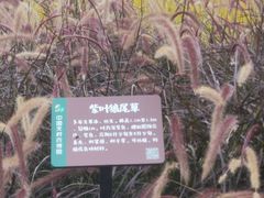 -中国天府农业博览园