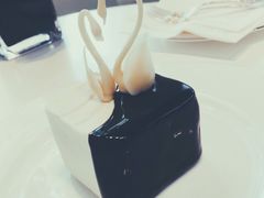 -BLACKSWAN黑天鹅(环球店)
