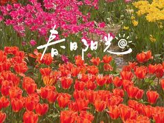 -石家庄市植物园