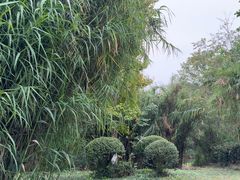 -白鹭湾湿地公园