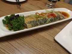 -素行天下(国投财富广场店)