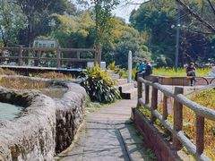 -成都市活水公园