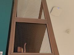 -悦海·家宴·冰花皮皮虾大锅贴(宝龙店)