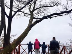 -山王坪喀斯特国家生态公园