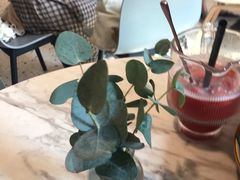 -gaga(深圳福田星河COCO Park店)