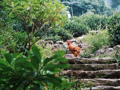 -东白山