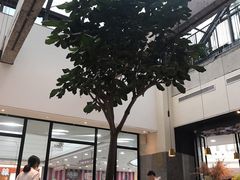 大堂-大树餐厅(红旗街万达店)