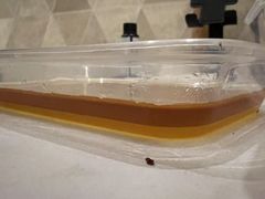 -钱商茉莉香鸭颈王(浑南店)