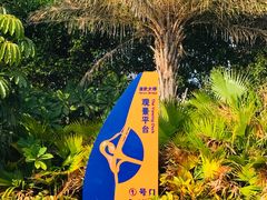 -演武大桥观景平台