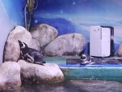 -重庆欢乐海底世界