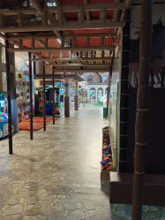 -卡通尼·Safari非洲探索乐园·生日会(金桥国际商业广场店)