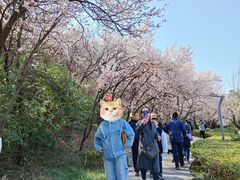 -云龙山