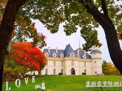 -北京张裕爱斐堡酒庄