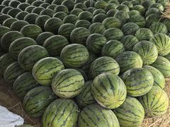 -成寿寺(地铁站)