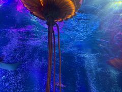 -沈阳海洋探索中心