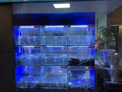 -石锅苗苗鱼(武汉首店)