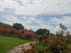 -中国科学院西双版纳热带植物园