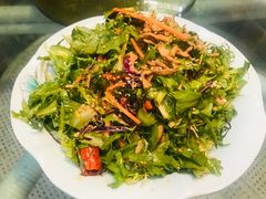 凉拌苦菊-大鹅岛绿色生态美食园