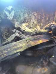 -酷嗒动物文化乐园(cutezoo西溪乐天城店)