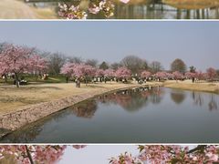 -上海辰山植物园