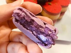 -法颂(金元宝于家堡购物中心店)