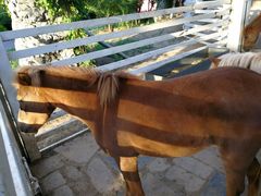 -酷鱼垂钓CLUB(朝阳区博大路店 )