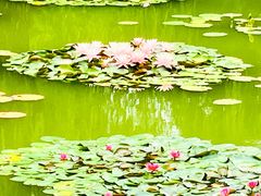 -国家植物园南园