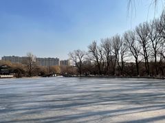 -二一九公园