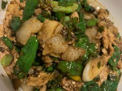 青辣椒炒肉-壹盏灯(惠农店)