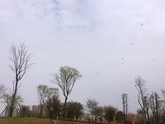 -府河摄影公园
