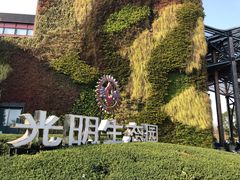 -上海国际音乐村