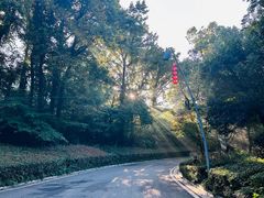 -宁波富邦荪湖山庄(慈城古县城店)
