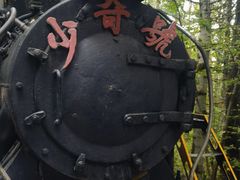 -五营红松林海景区