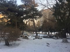 -东北大学(南湖校区)