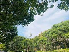 -家有好面(南汇大润发店)